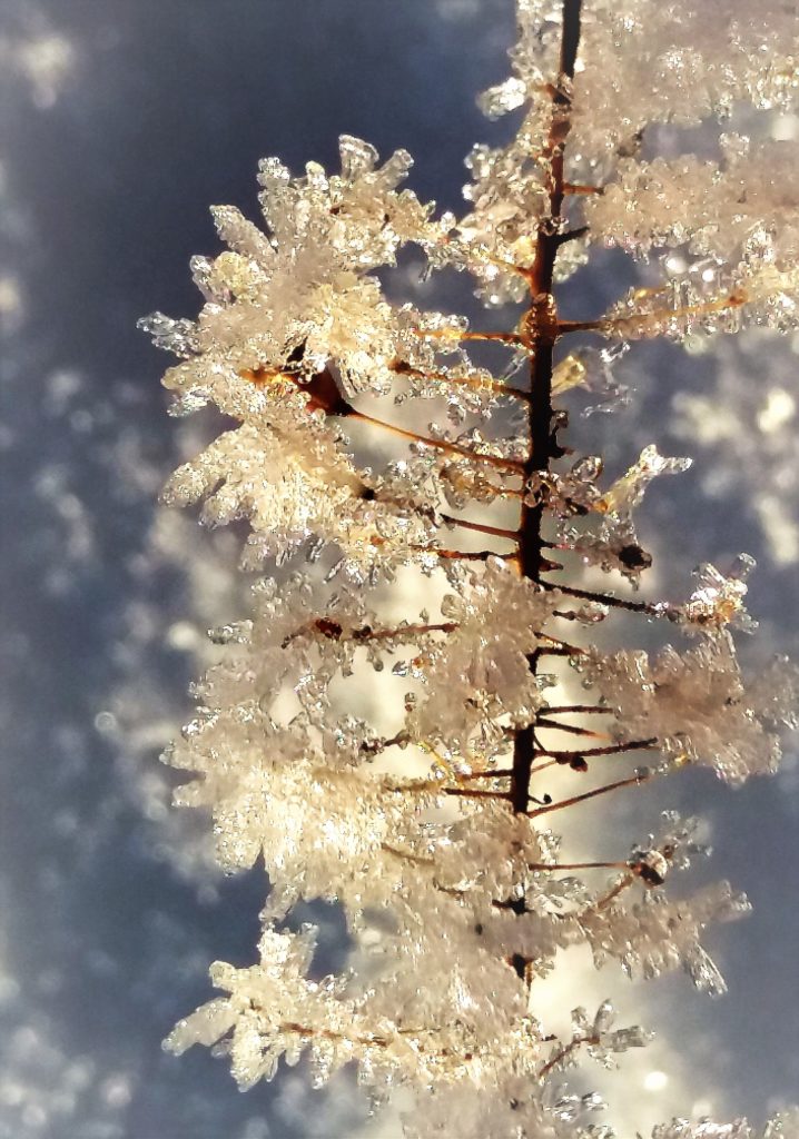 Valokuvaaja: Teija Vänttinen