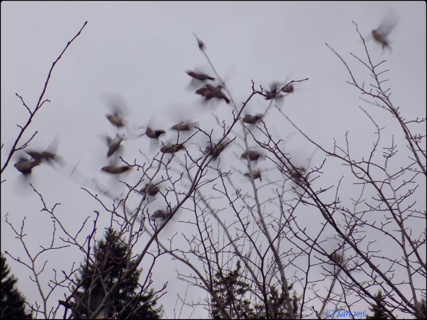Valokuvaaja: Kari Saarinen