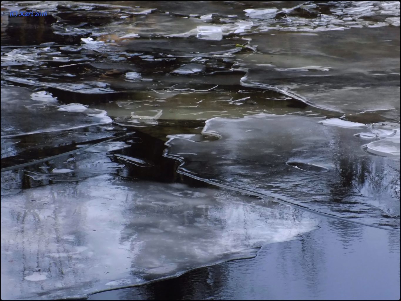 Valokuvaaja: Kari Saarinen Valokuvaaja: Kari Saarinen