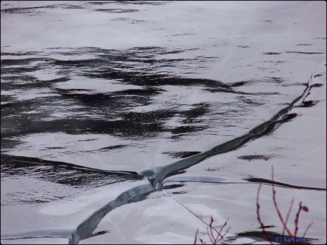 Valokuvaaja: Kari Saarinen