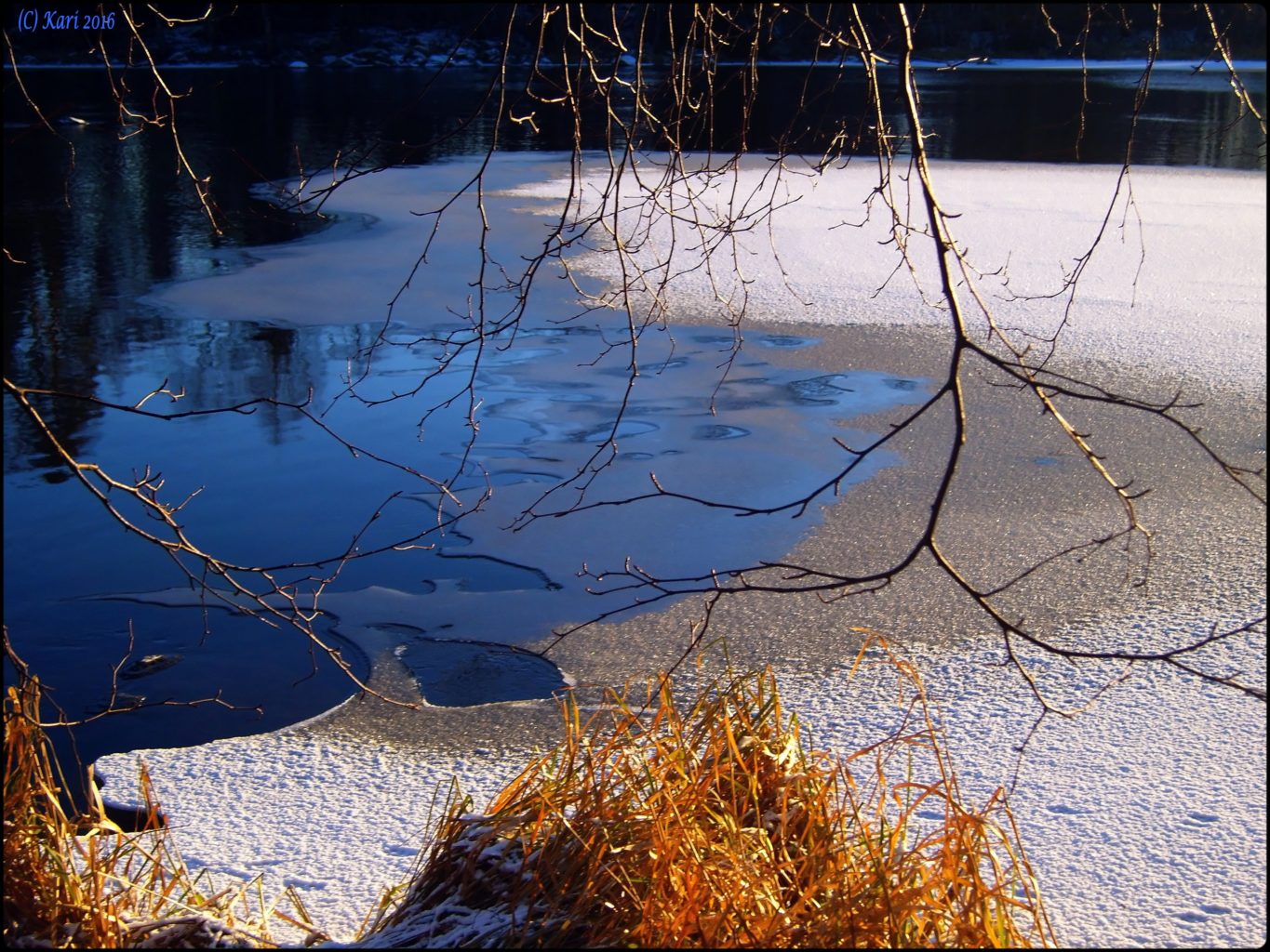 Valokuvaaja: Kari Saarinen