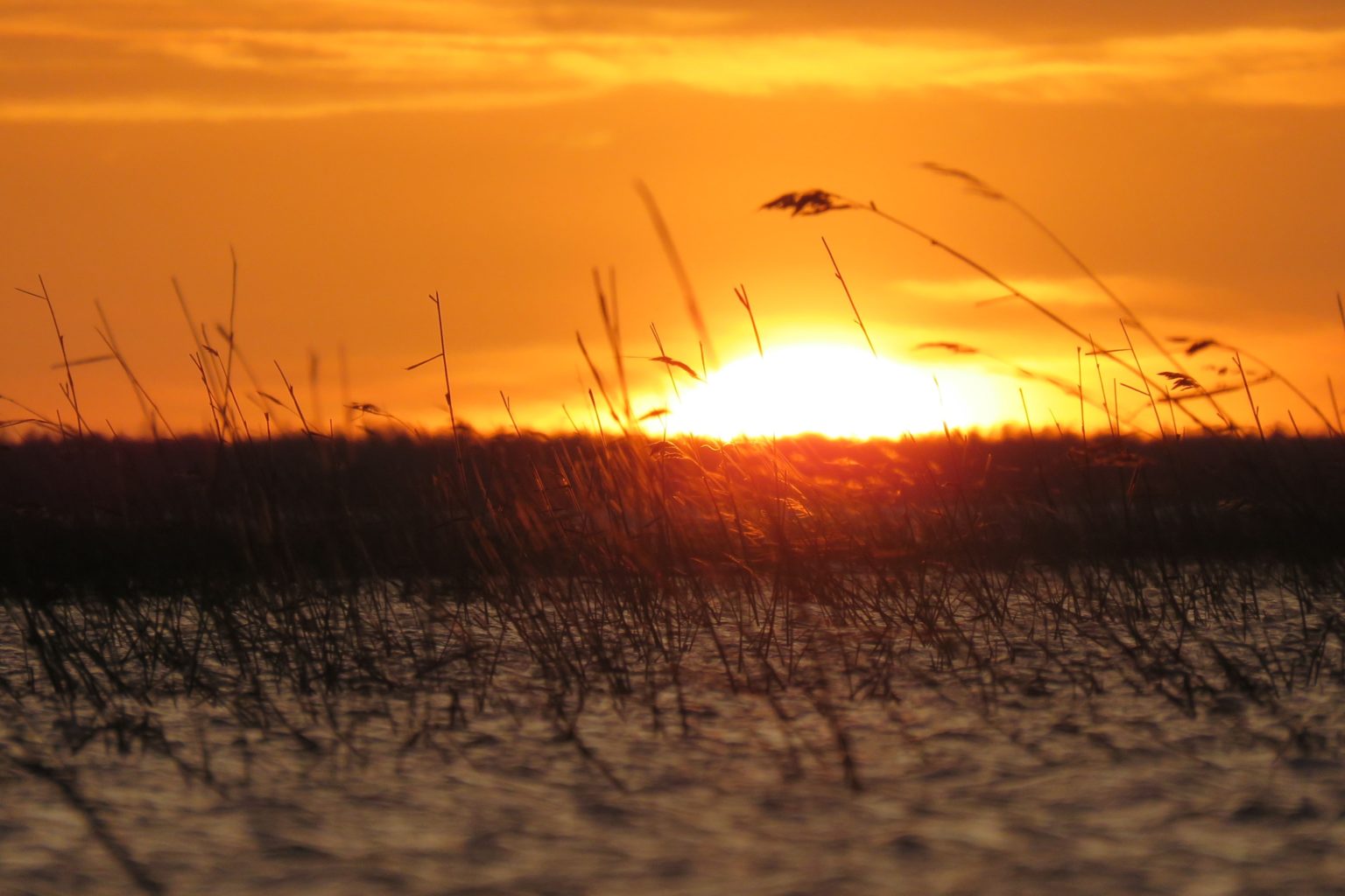 Valokuvaaja: Matti Kustula