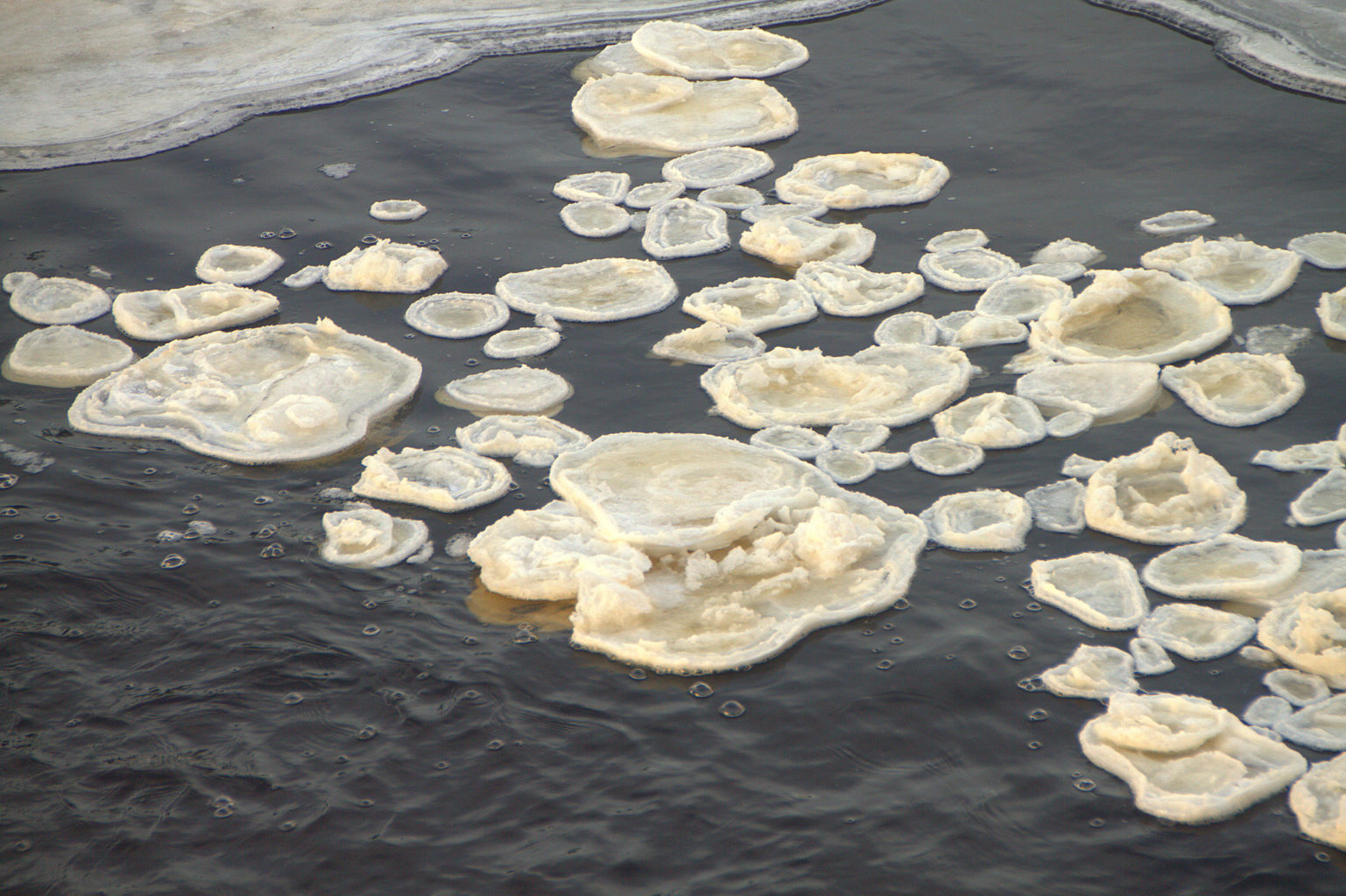 Valokuvaaja: Sirpa Jyske Valokuvaaja: Sirpa Jyske