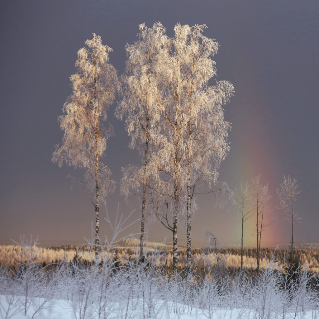 Valokuvaaja: Anne Moilanen