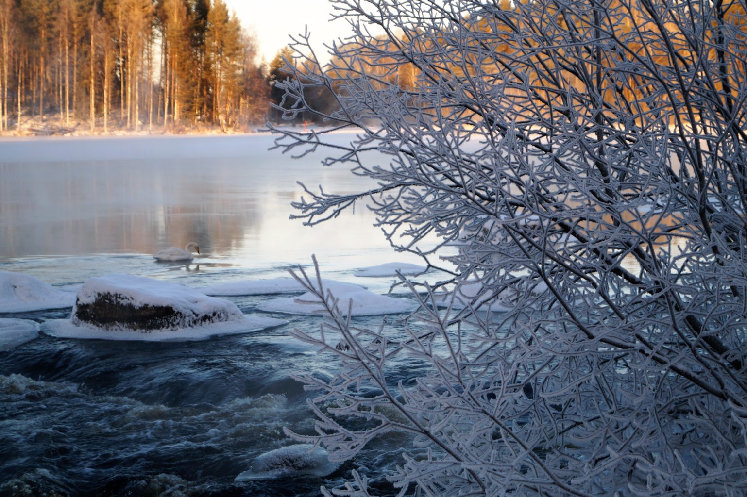 Valokuvaaja: Maarit Siitonen Valokuvaaja: Maarit Siitonen