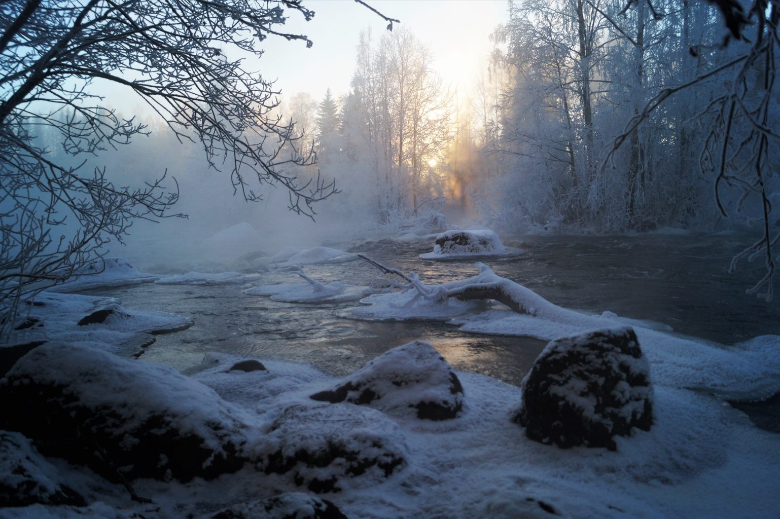 Valokuvaaja: Maarit Siitonen Valokuvaaja: Maarit Siitonen