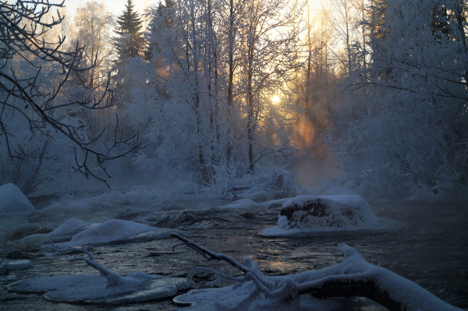 Valokuvaaja: Maarit Siitonen