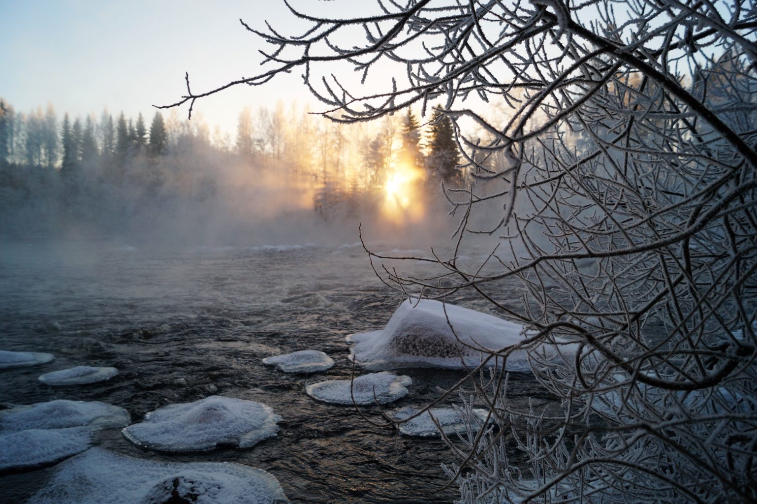 Valokuvaaja: Maarit Siitonen