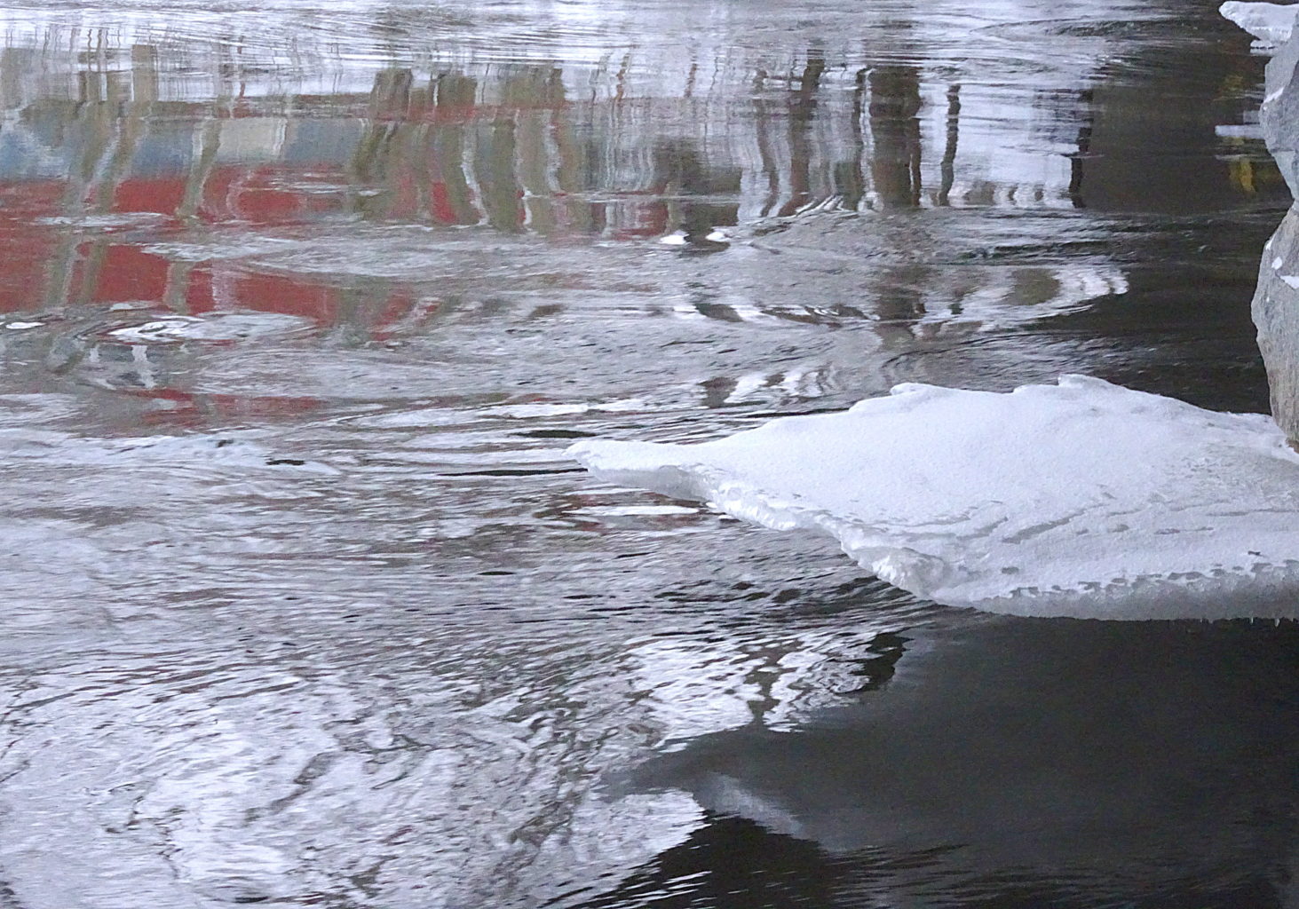 Valokuvaaja: Irja Lehtinen