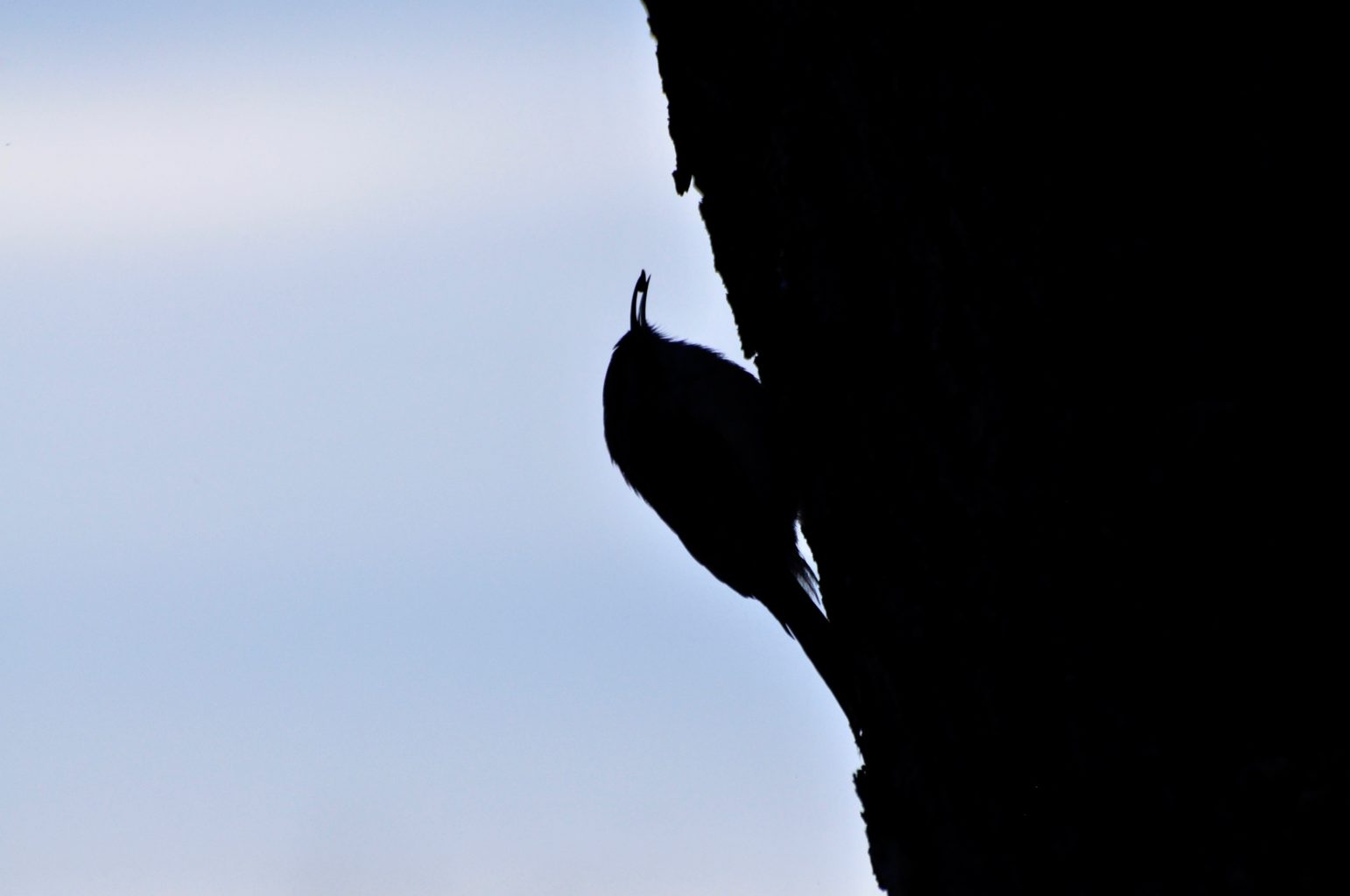 Valokuvaaja: Jenni Merilä Valokuvaaja: Jenni Merilä