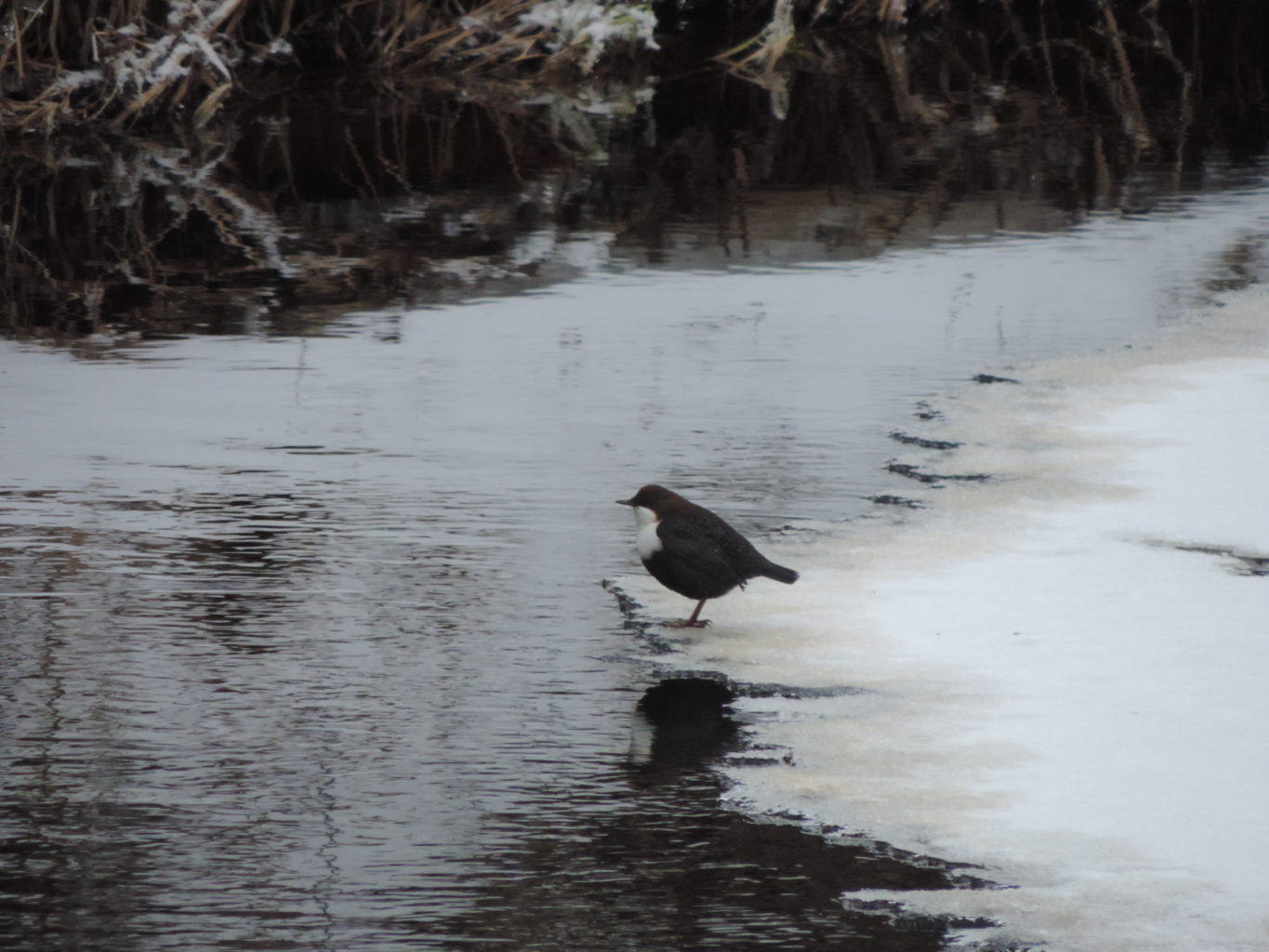 Valokuvaaja: Helena Sytelä