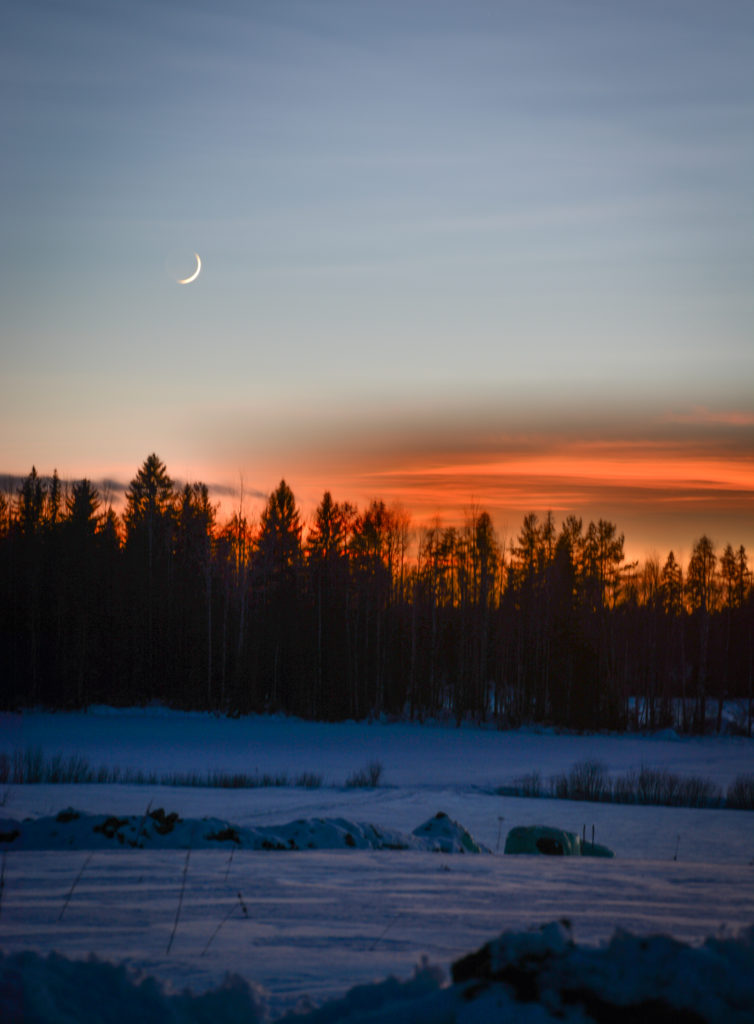 Valokuvaaja: MAIJA SAVOLAINEN