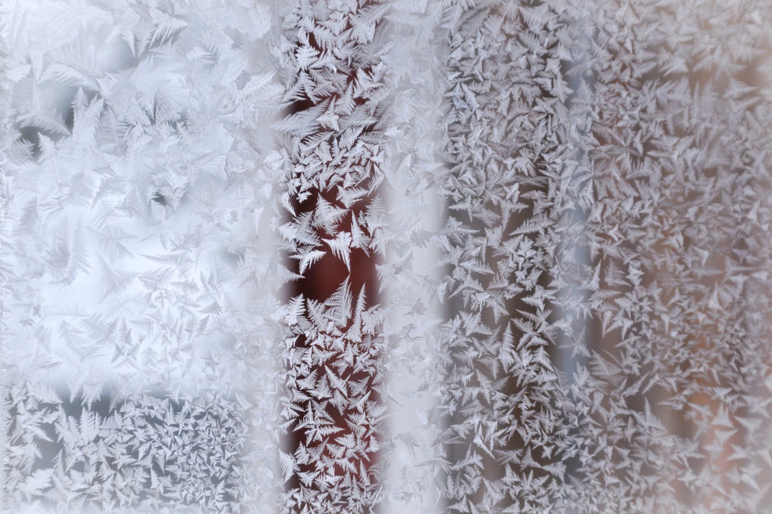 Valokuvaaja: MAIJA SAVOLAINEN