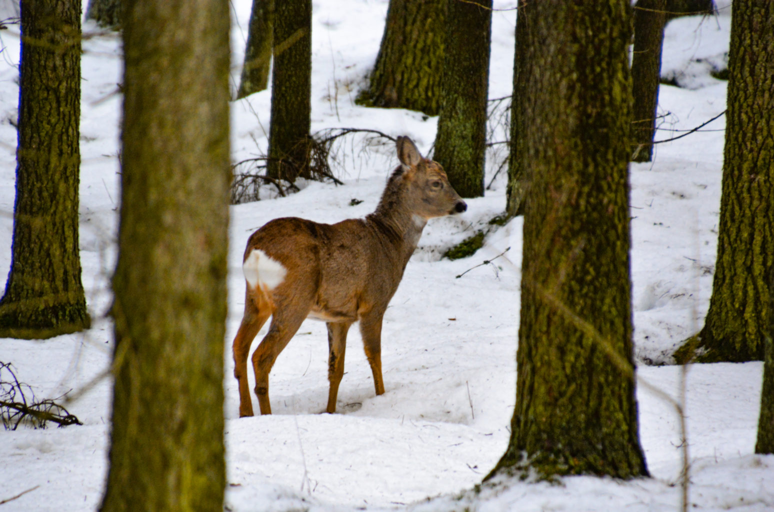 Valokuvaaja: MAIJA SAVOLAINEN