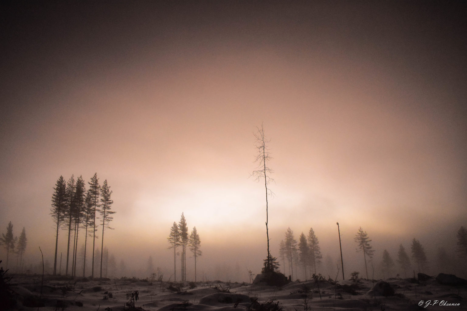 Valokuvaaja: Jyri Oksanen Valokuvaaja: Jyri Oksanen