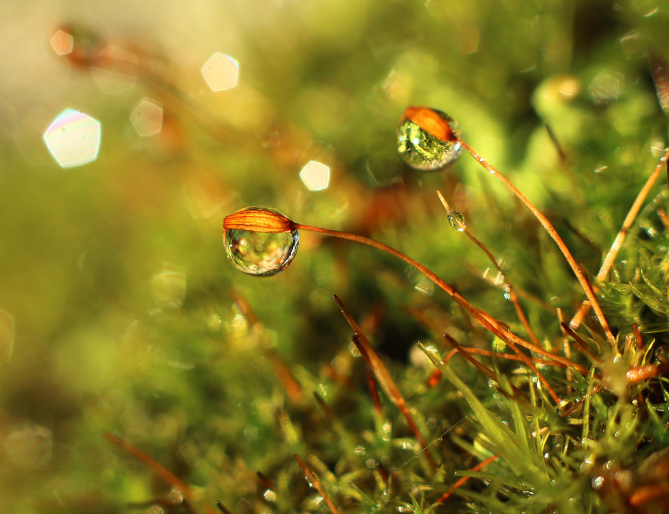 Valokuvaaja: Tarja Porkkala