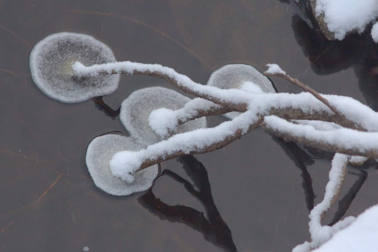 Valokuvaaja: Tapio Keinonen