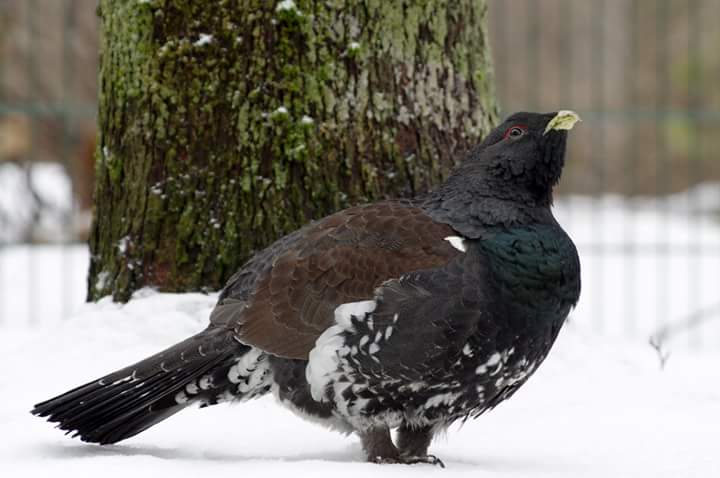 Valokuvaaja: Heikki Heinonen