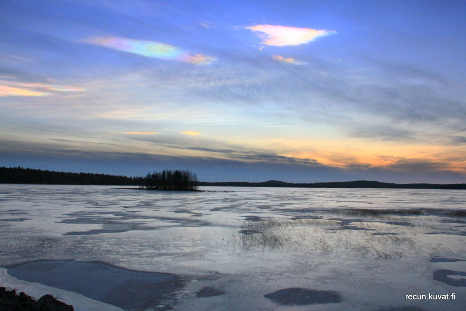 Valokuvaaja: Reijo Reccu Lehtonen