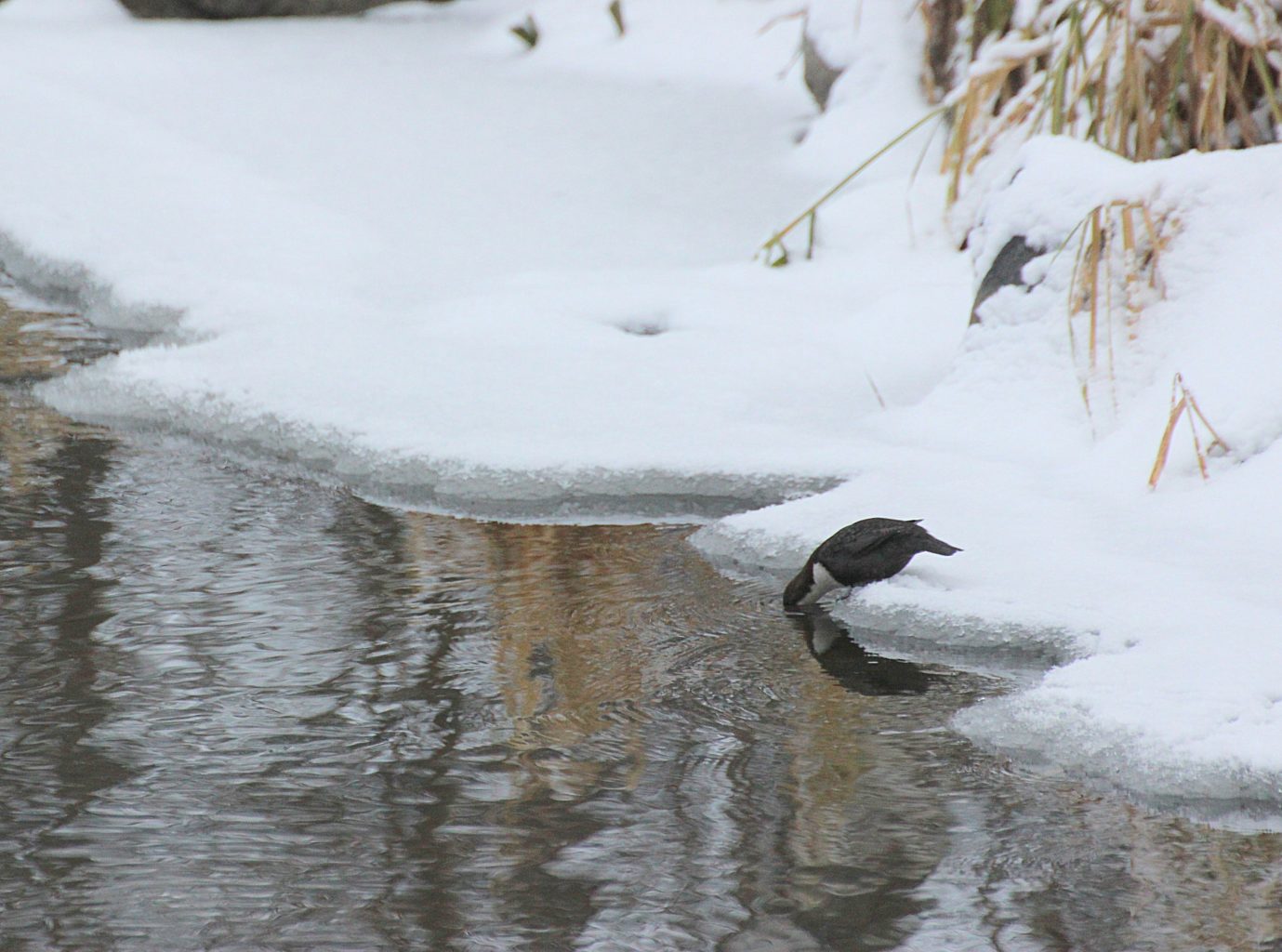 Valokuvaaja: Irja Lehtinen