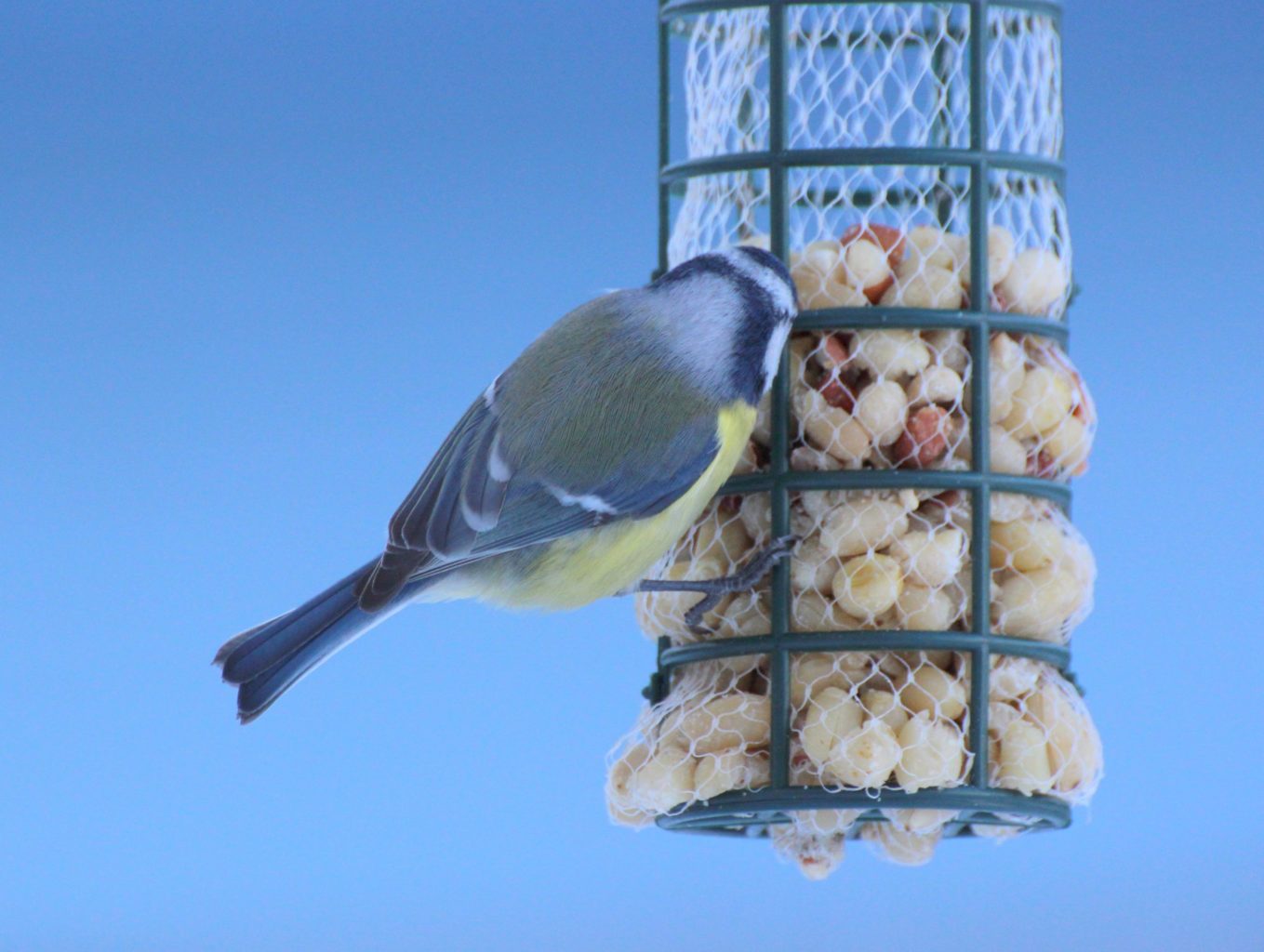 Valokuvaaja: Irja Lehtinen Valokuvaaja: Irja Lehtinen