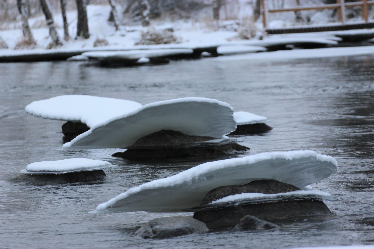 Valokuvaaja: Irja Lehtinen