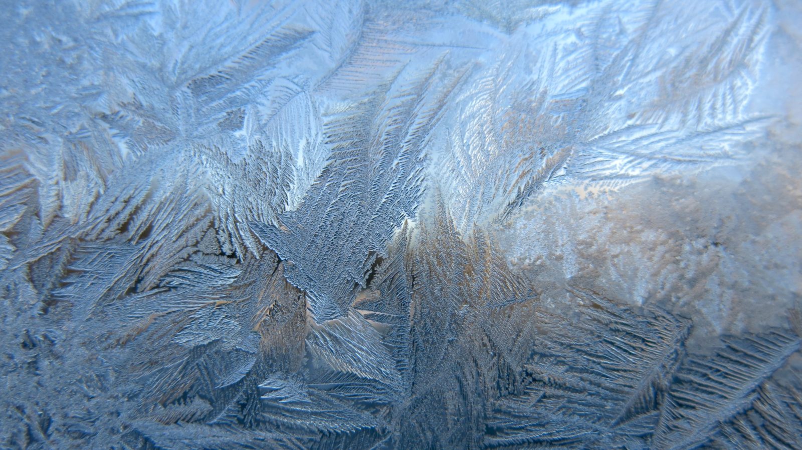 Valokuvaaja: Havu Pellikka Valokuvaaja: Havu Pellikka