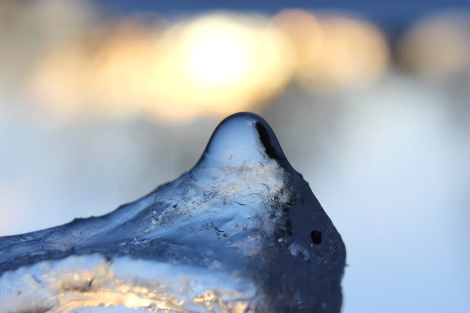 Valokuvaaja: Irja Lehtinen Valokuvaaja: Irja Lehtinen