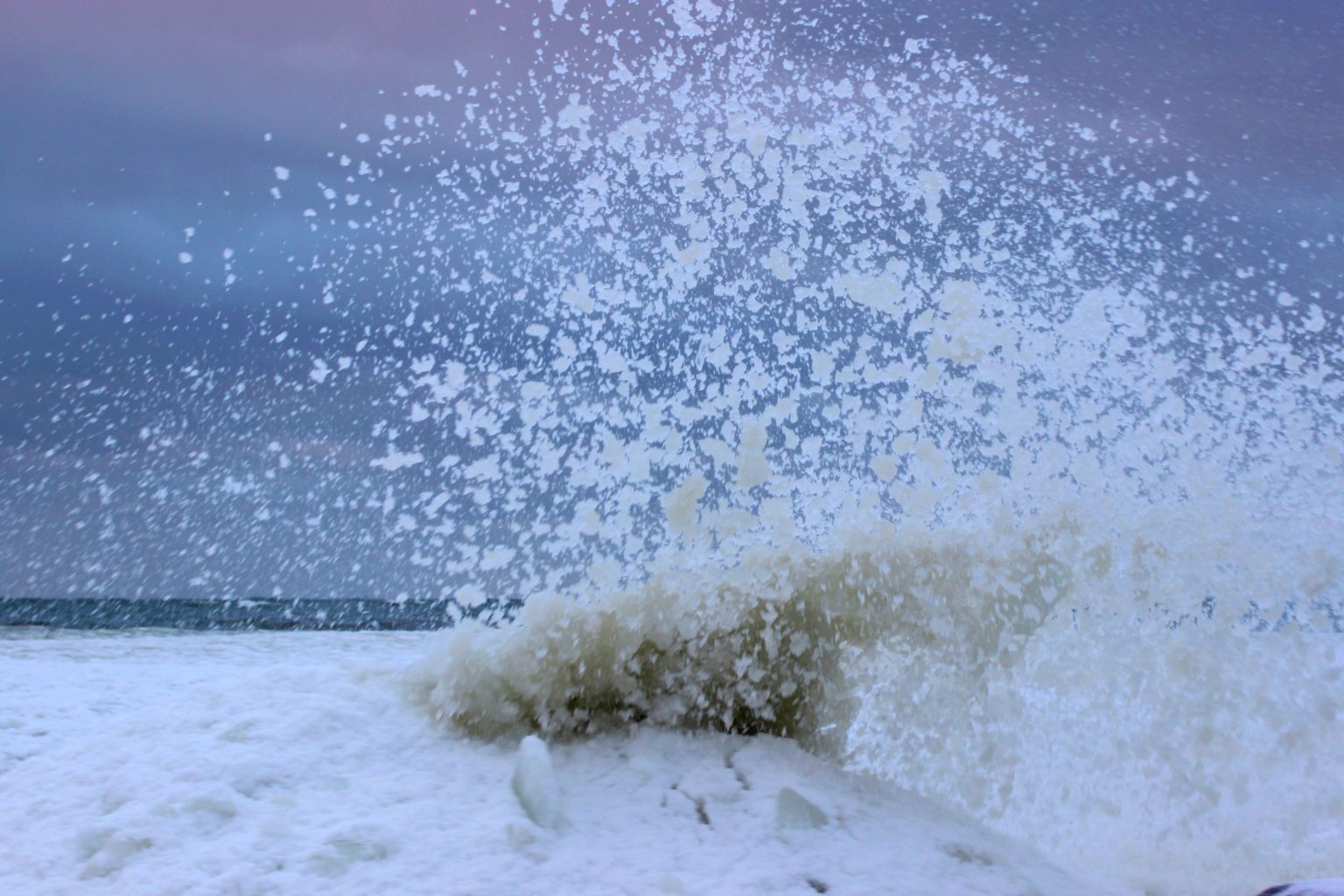 Valokuvaaja: Irja Lehtinen Valokuvaaja: Irja Lehtinen