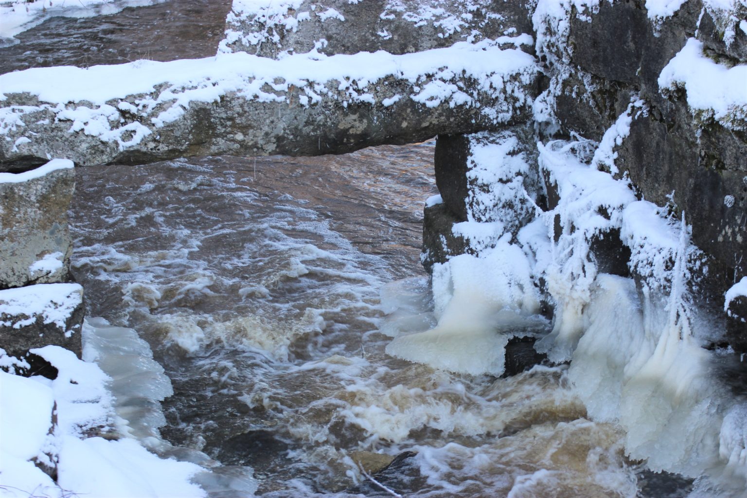 Valokuvaaja: Irja Lehtinen