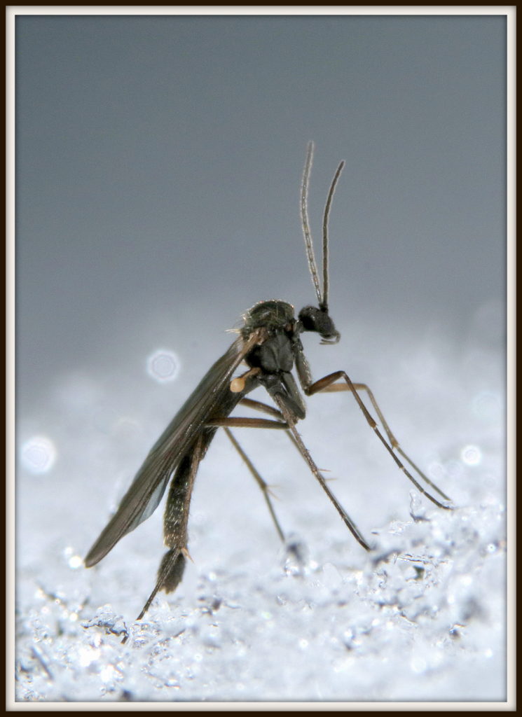 Valokuvaaja: Hannu Rasiranta