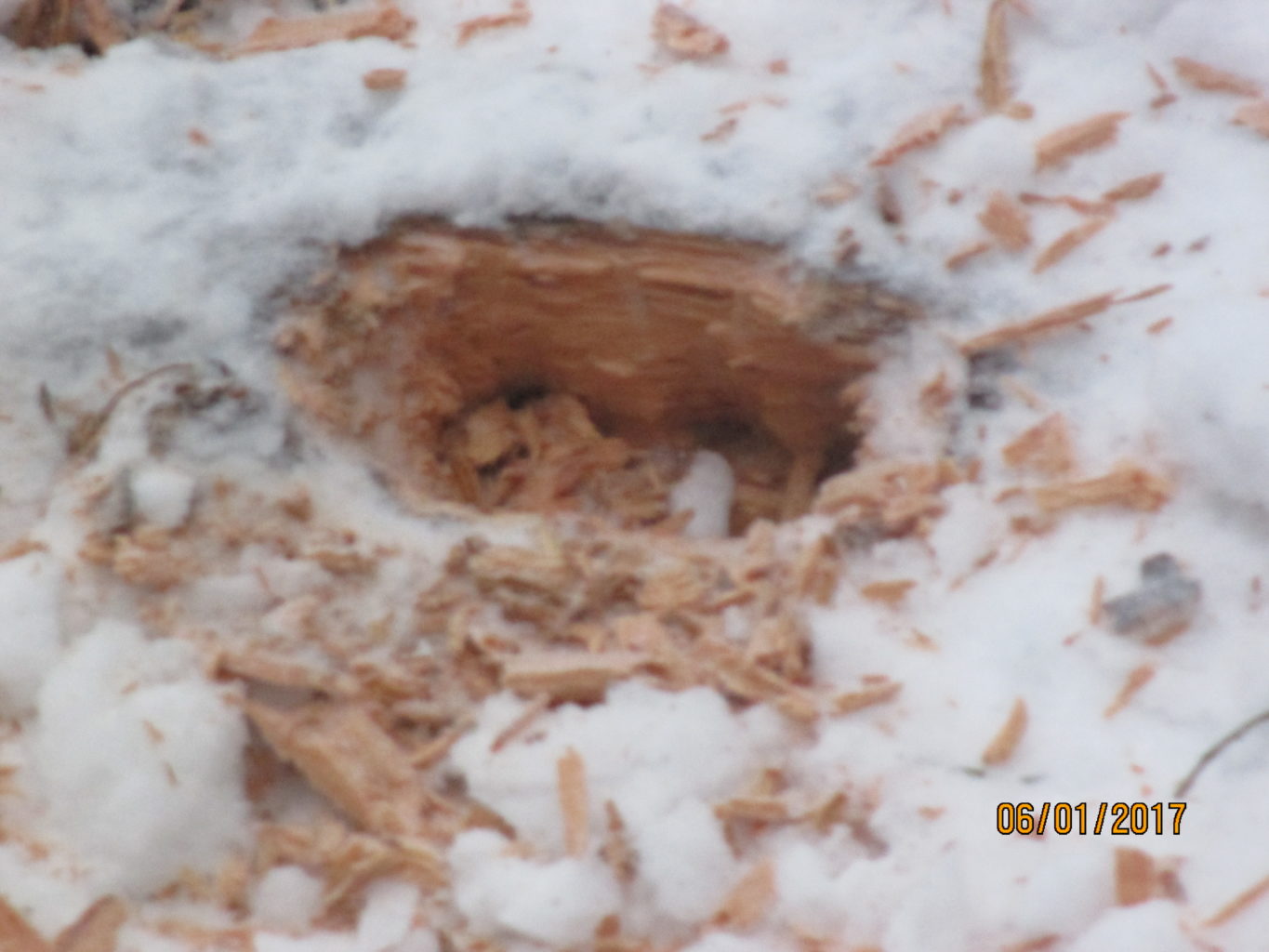 Valokuvaaja: yrjo lukkari