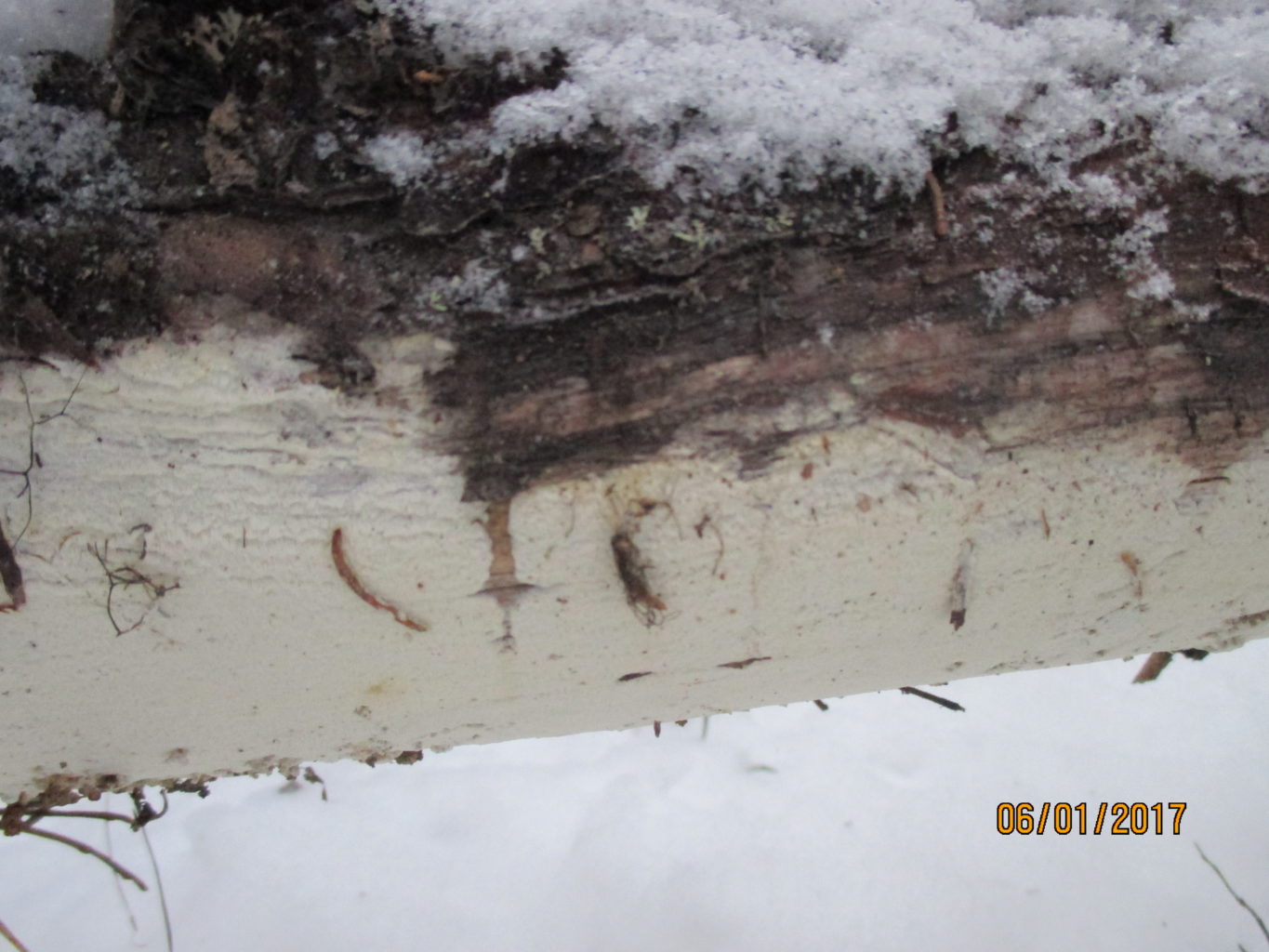 Valokuvaaja: yrjo lukkari