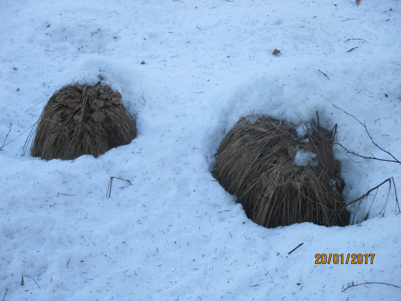 Valokuvaaja: yrjo lukkari