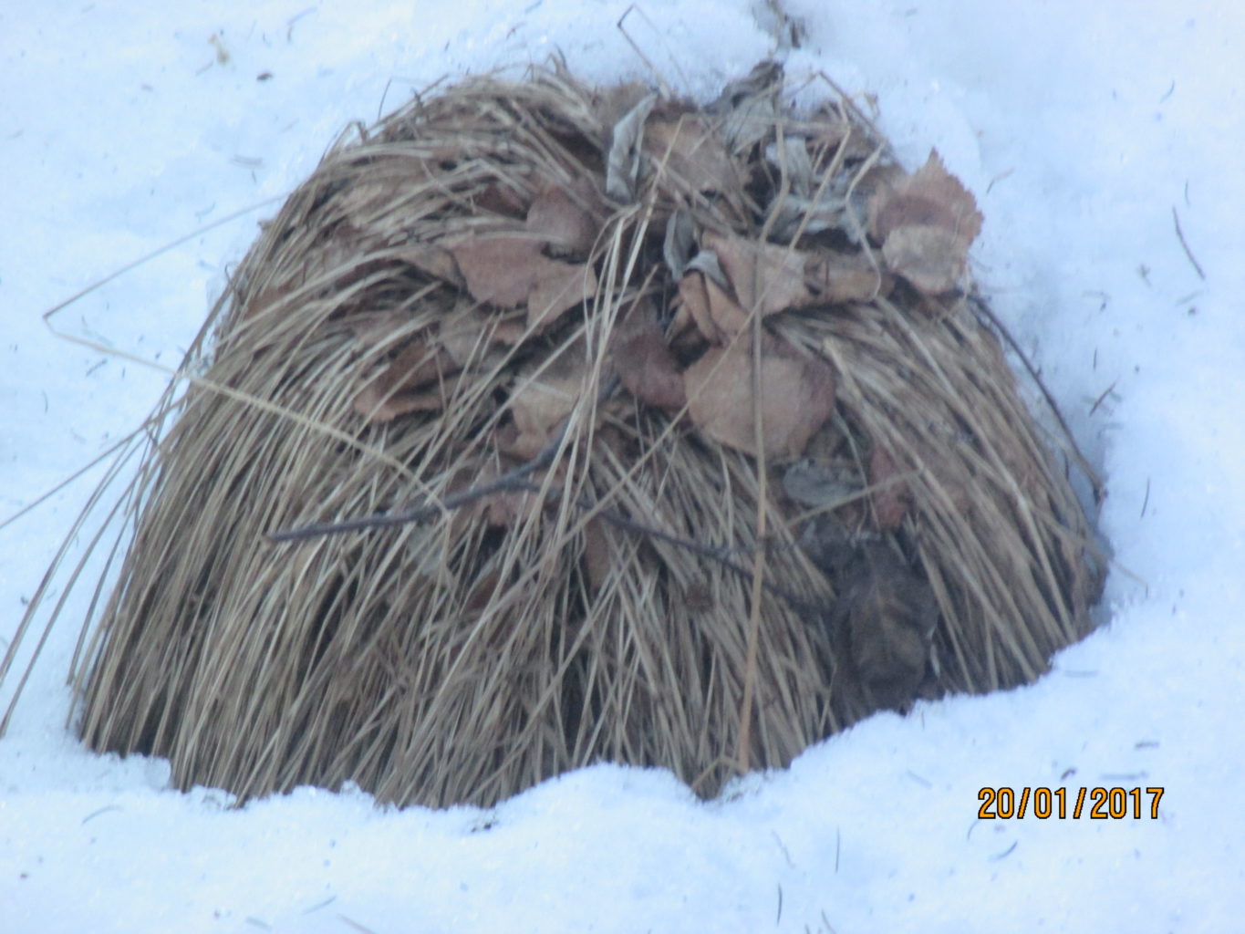 Valokuvaaja: yrjo lukkari