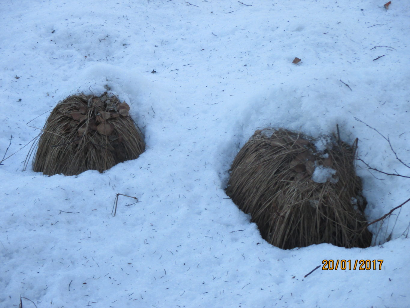 Valokuvaaja: yrjo lukkari Valokuvaaja: yrjo lukkari