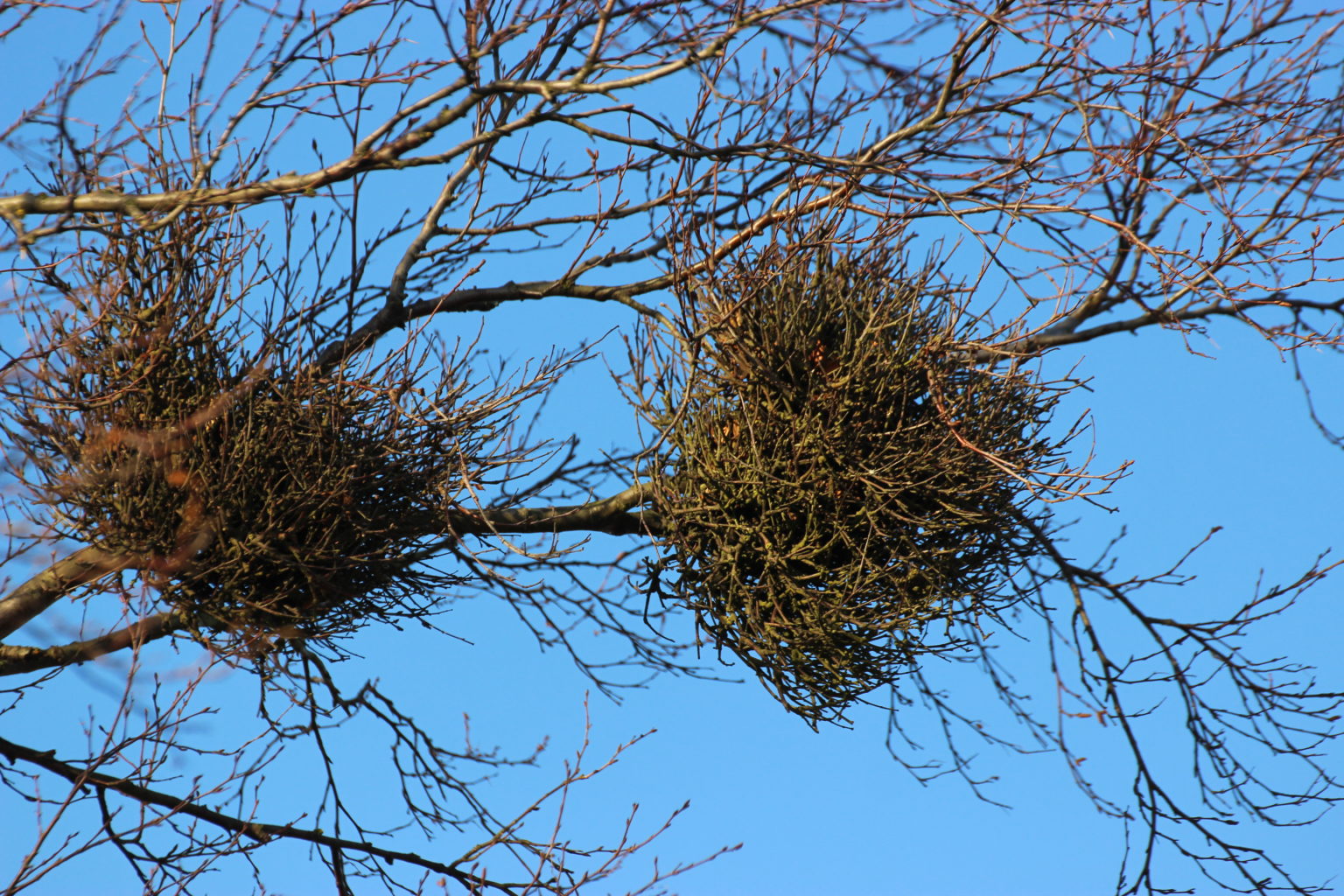 Valokuvaaja: Irja Lehtinen