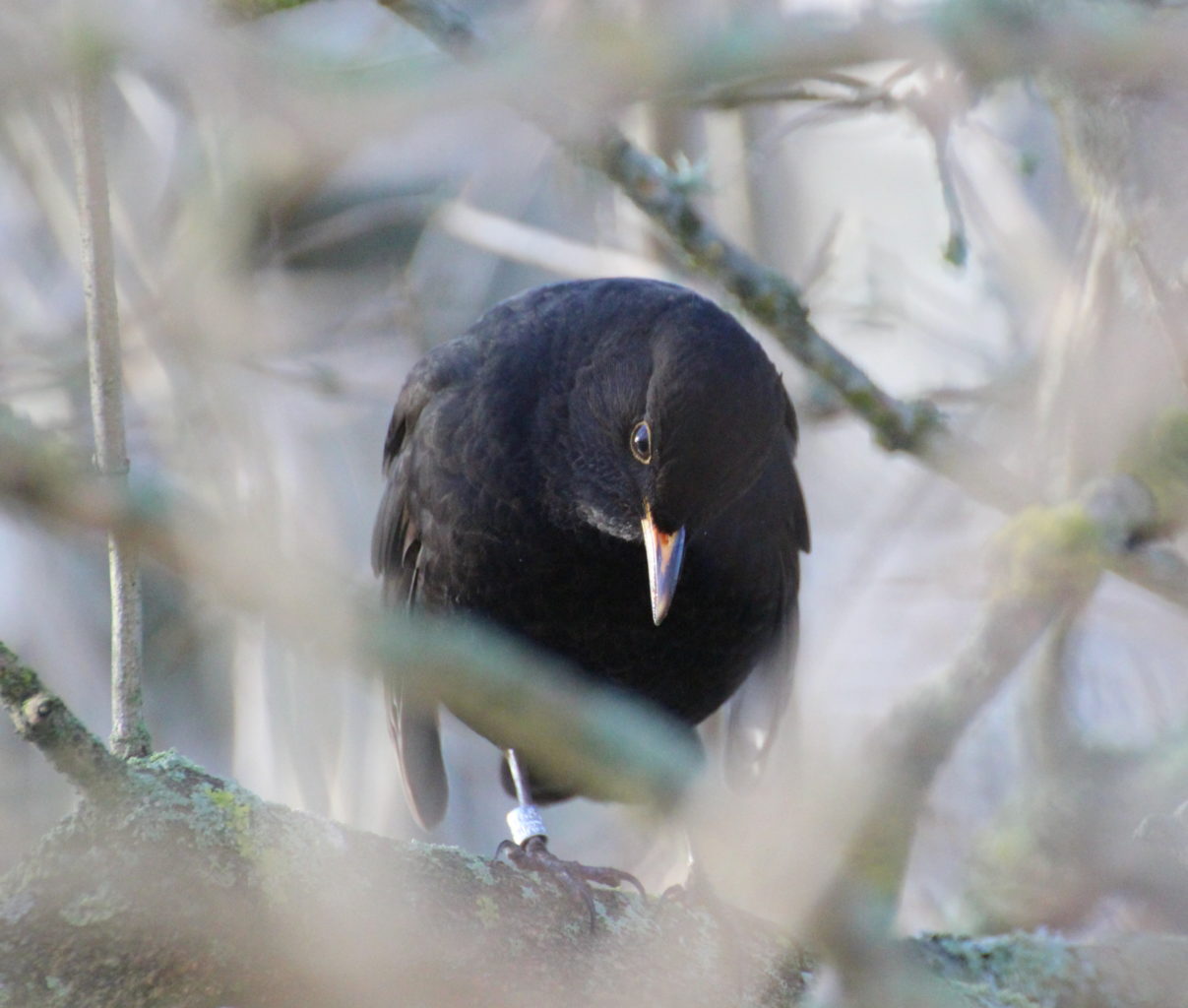 Valokuvaaja: Irja Lehtinen