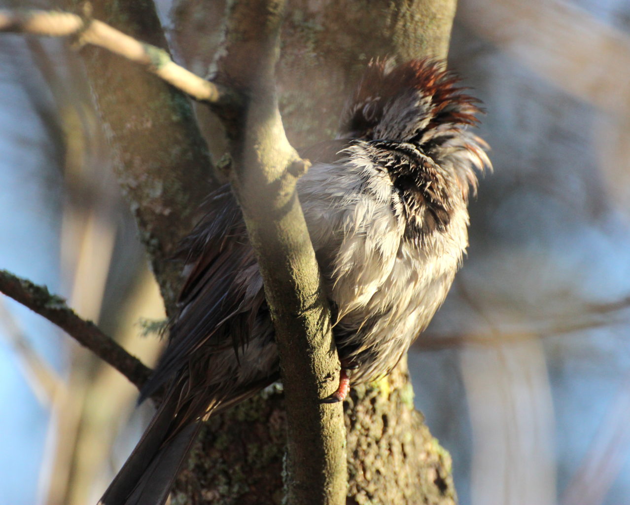 Valokuvaaja: Irja Lehtinen