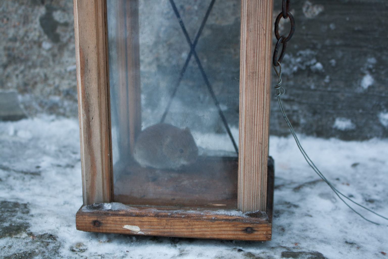 Valokuvaaja: Irma Savelius