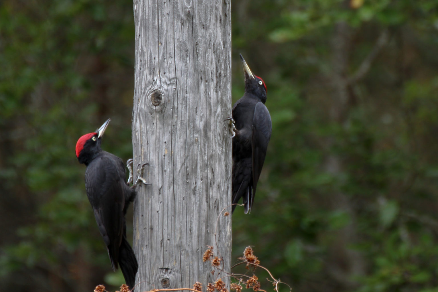 Valokuvaaja: Juha Portti