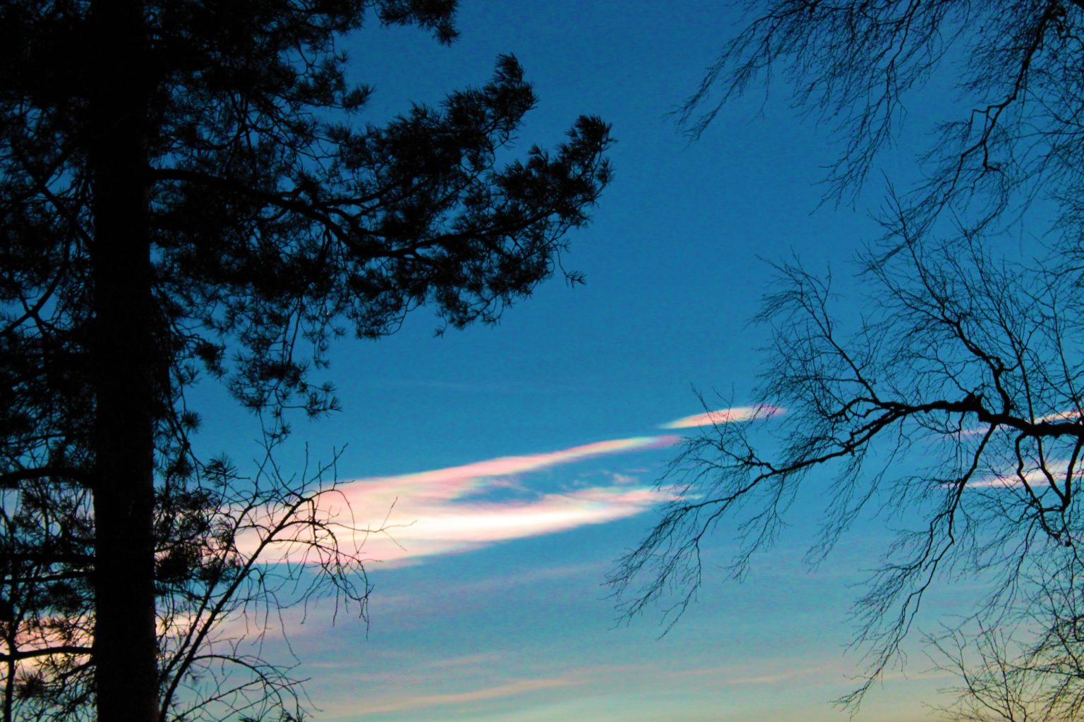 Valokuvaaja: Pirkko Hautamäki