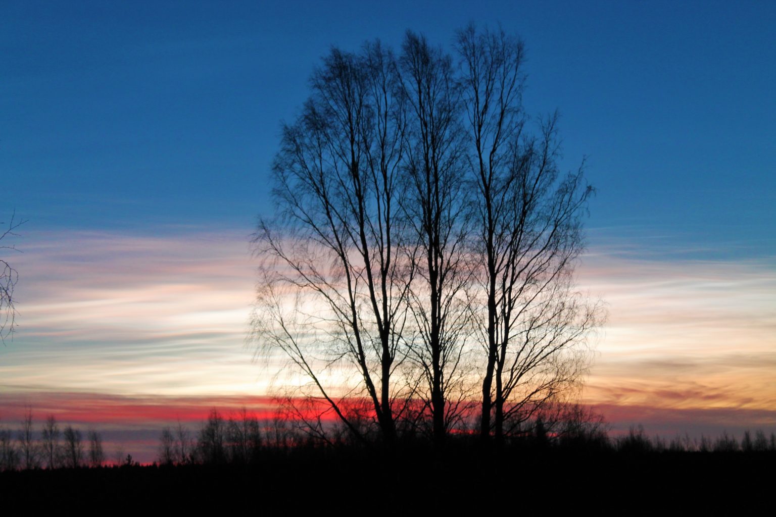 Valokuvaaja: Pirkko Hautamäki
