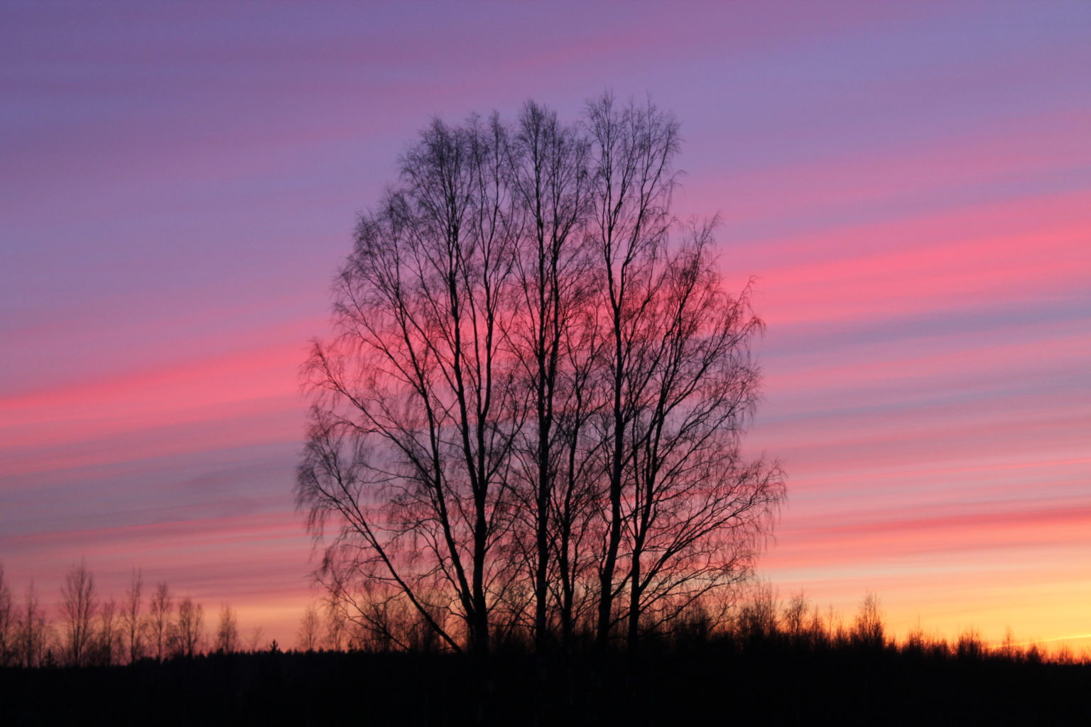 Valokuvaaja: Pirkko Hautamäki