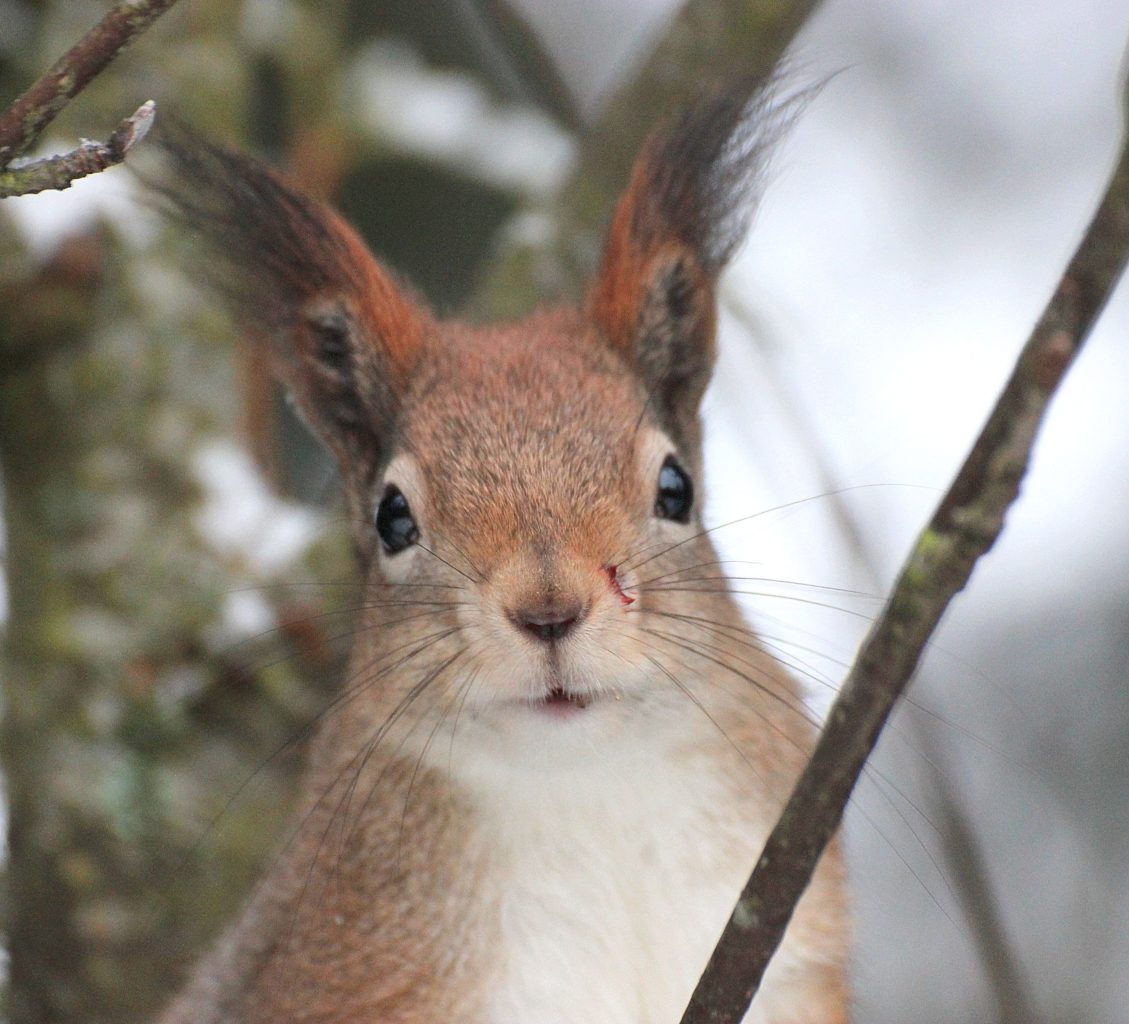 Valokuvaaja: Irja Lehtinen