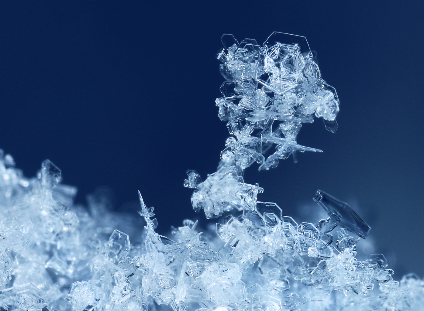 Valokuvaaja: Tarja Porkkala