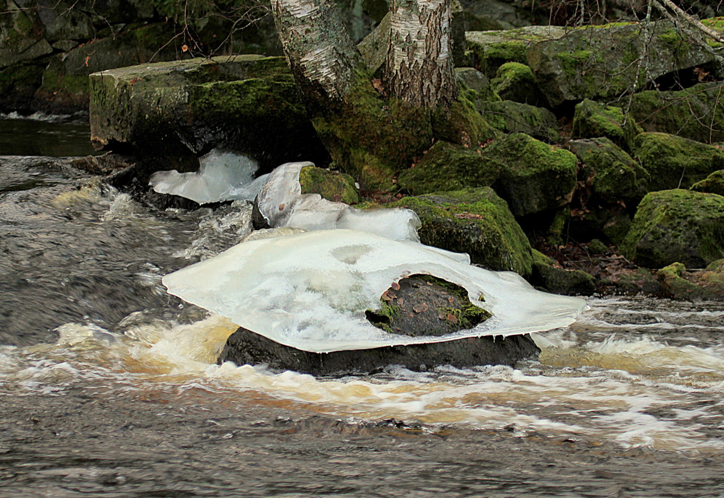 Valokuvaaja: Sirpa Jyske