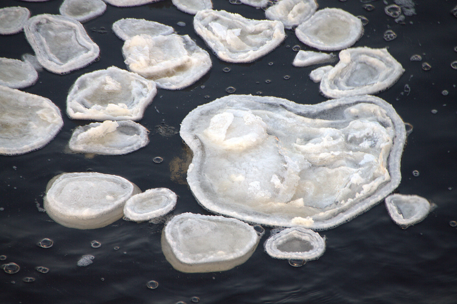 Valokuvaaja: Sirpa Jyske