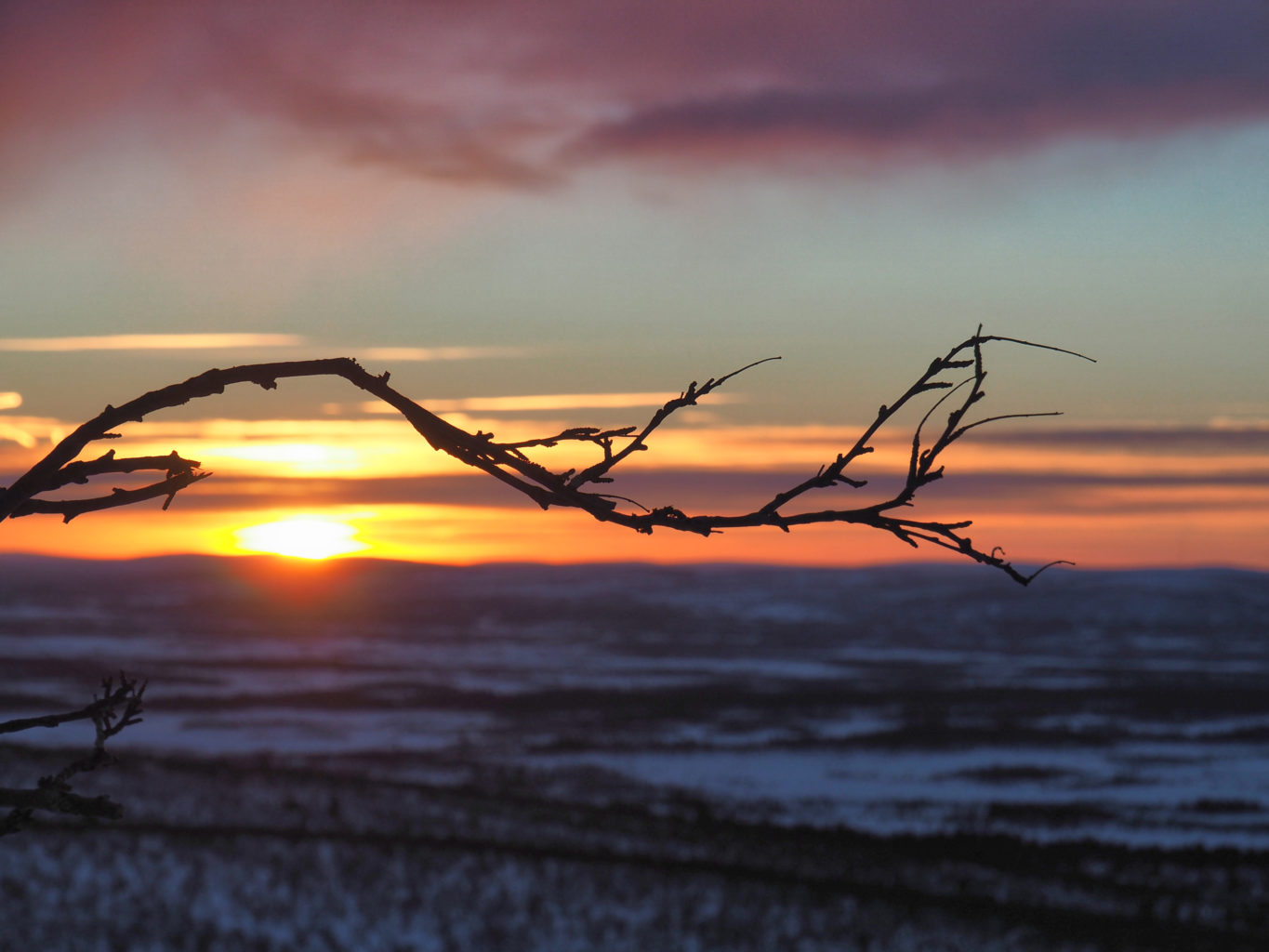 Valokuvaaja: Sannamari Blinnikka-Tyrväinen Valokuvaaja: Sannamari Blinnikka-Tyrväinen