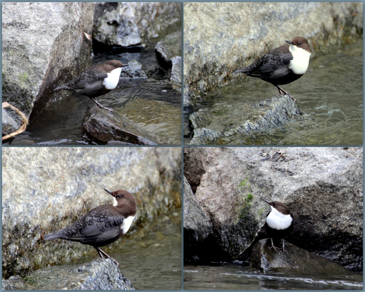 Valokuvaaja: Irja lehtinen